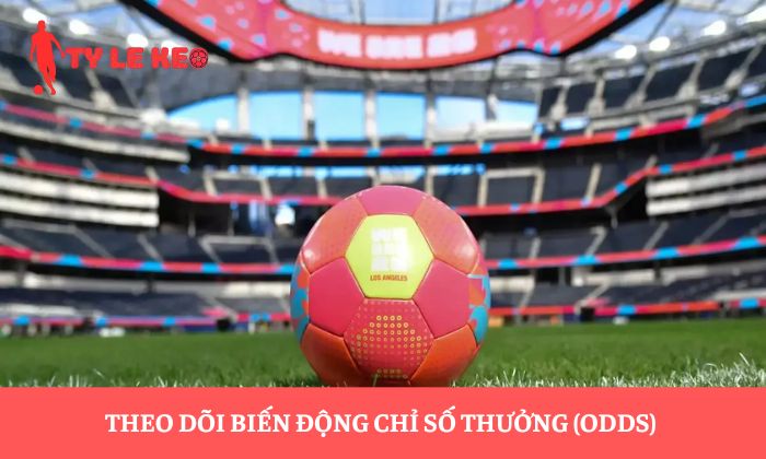 Tỷ lệ cá cược Ma Cao Tỷ lệ cá cược Ma Cao