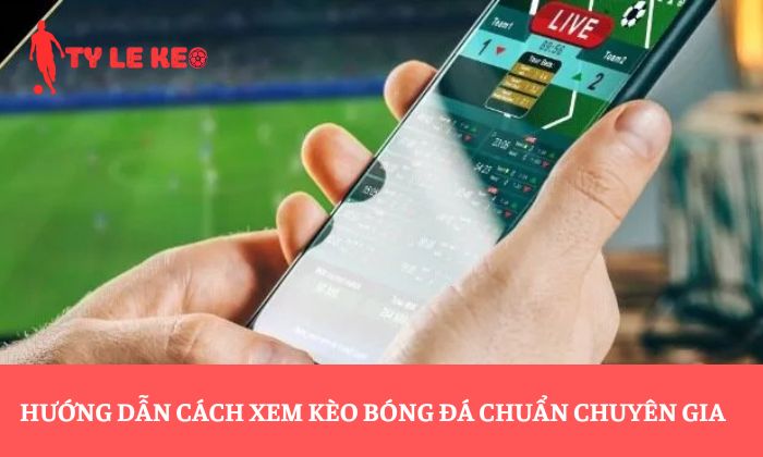 cách xem kèo bóng đá