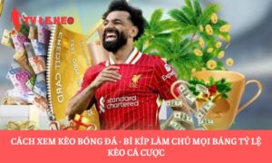 cách xem kèo bóng đá