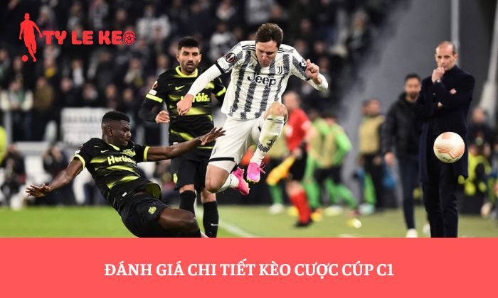 Đánh giá chi tiết kèo cược cúp C1