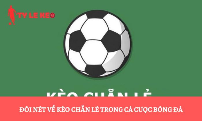Đôi nét về kèo chẵn lẻ trong cá cược bóng đá