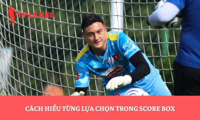Cách hiểu từng lựa chọn trong Score Box