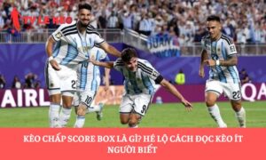 Kèo chấp Score Box