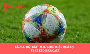 Kèo cơ hội kép