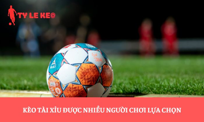 Kèo tài xỉu được nhiều người chơi lựa chọn