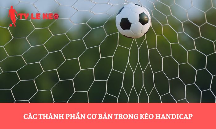 Các thành phần cơ bản trong kèo Handicap