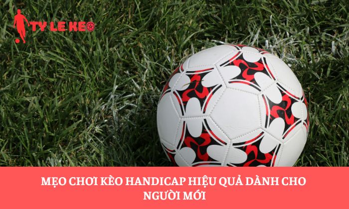 Mẹo chơi kèo Handicap hiệu quả dành cho người mới