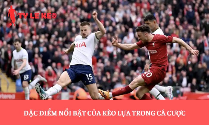 Đặc điểm nổi bật của kèo lựa trong cá cược