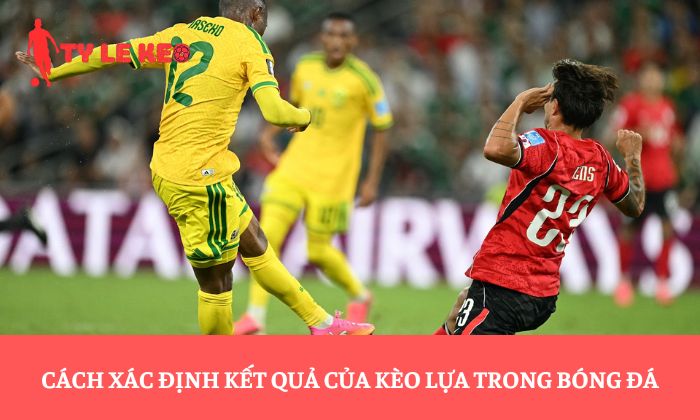 Cách xác định kết quả của kèo lựa trong bóng đá