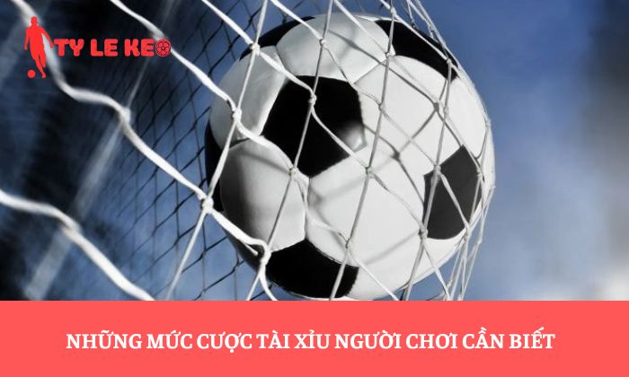 kèo tài xỉu 