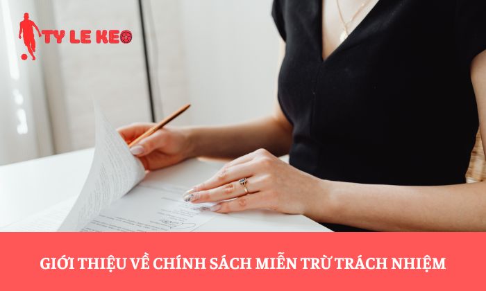 Giới thiệu về chính sách miễn trừ trách nhiệm