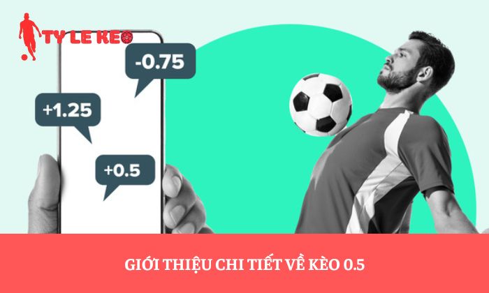 Giới thiệu chi tiết về kèo 0.5