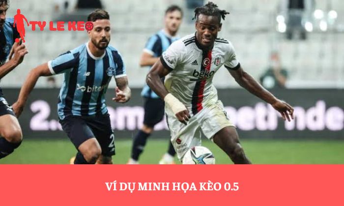 Ví dụ minh học kèo 0.5
