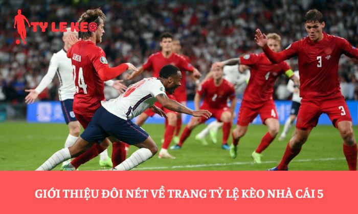 Giới thiệu đôi nét về trang Tỷ lệ kèo nhà cái 5